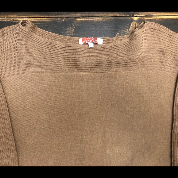 NWOT Carol Rose Women's Brown/Khaki Dolman Sweater SZ L - Picture 5 of 6
